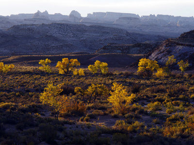 _IMG1802B.jpg