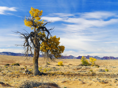 _IMG3216.jpg