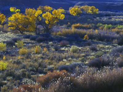 _IMG3813.jpg