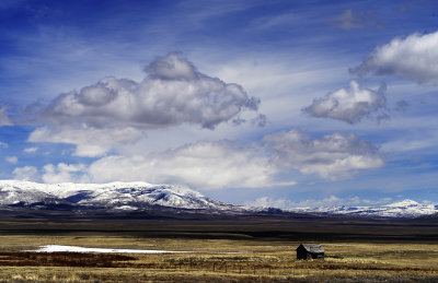 _IMG0123.jpg