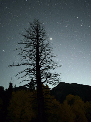 Starry Night, Red Rock Pass, Montana