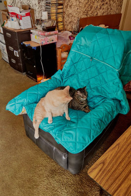 Sylvester and Ling in new chair.