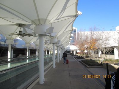 IMG_2955.jpg