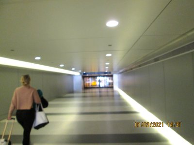 IMG_2960.jpg