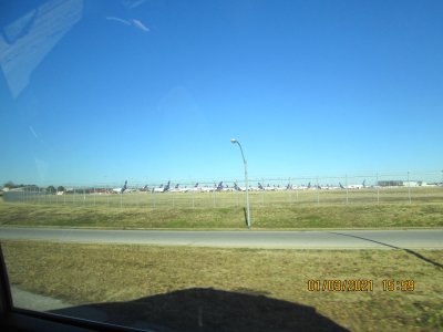 IMG_2984.jpg