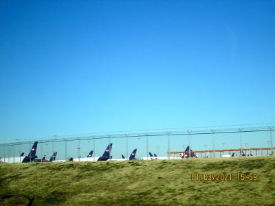 IMG_2985.jpg