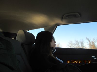 IMG_2988.jpg