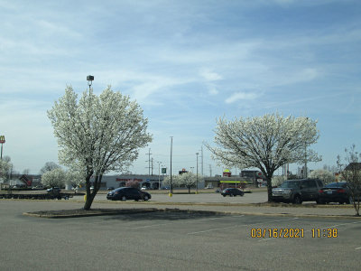 IMG_3156.jpg