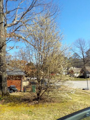 DSCN1746.jpg