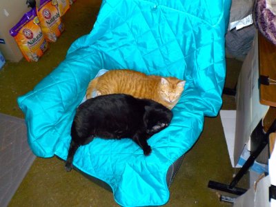 DSCN1860.jpg