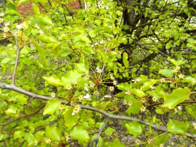 DSCN1871.jpg