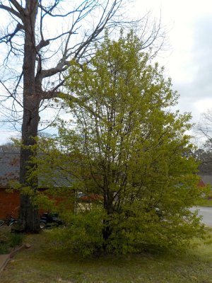 DSCN1870a.jpg