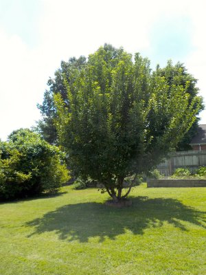 DSCN2608.jpg