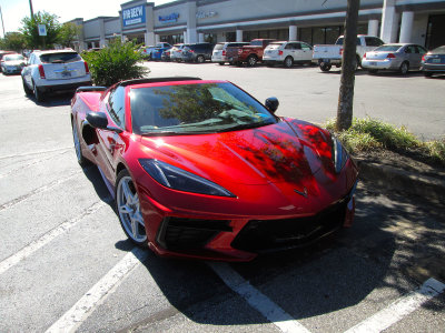IMG_4486.jpg