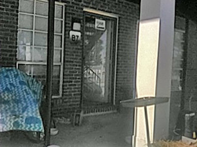 Food I ordered for ZhuZhu before she died. FedEX photo.