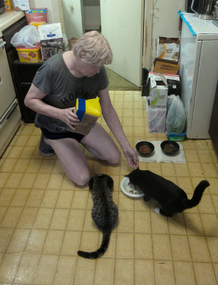 Feeding kitties.