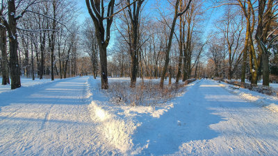Winter-10.jpg