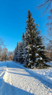 Winter-2.jpg