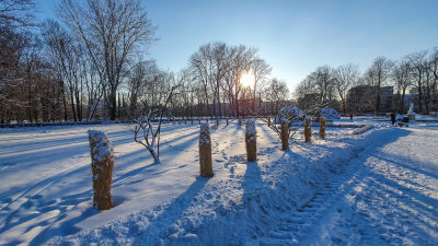 Winter-4.jpg