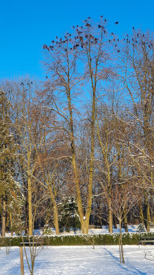 Winter-6.jpg