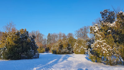 Winter-8.jpg