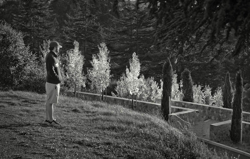 Contemplation
