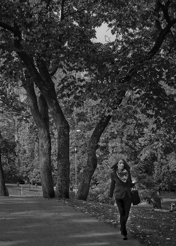 A brisk walk on a quiet day