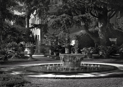 The Garden
