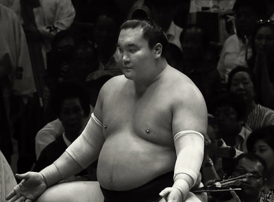 Yokozuna Hakuhō Shō