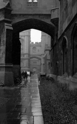 Harper Library arches in the snow