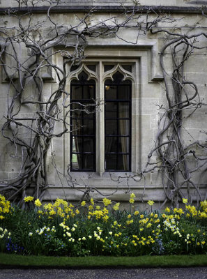 Spring at Balliol College