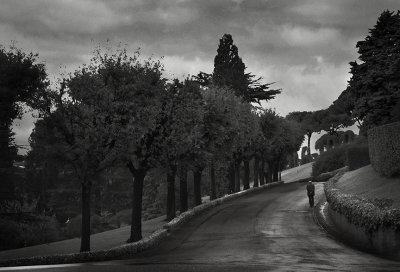 Morning walk in the Vatican Gardens