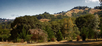 The Anderson valley near Booneville