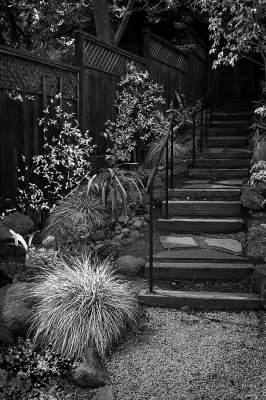 Steps leading to the garden