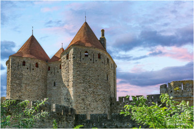 Carcassonne, la Cit