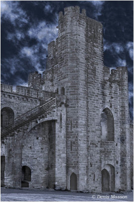 Carcassonne, la Cit