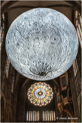 Museum Of the Moon