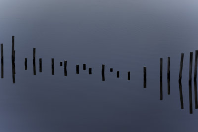 Sticks