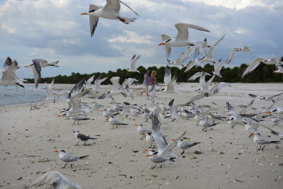 Take-off