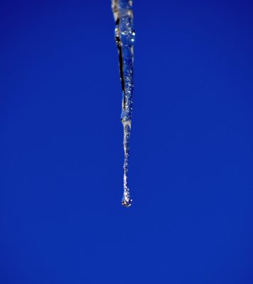 waiting for the next drip