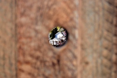 Through the fence
