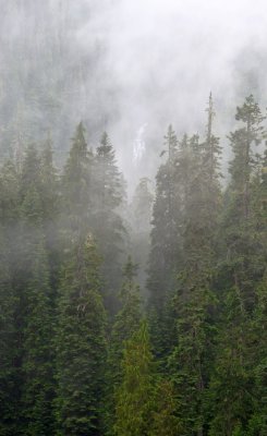 Through the Misty Clouds