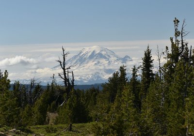 Mt Rainier