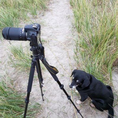 Patient Photo Assistant