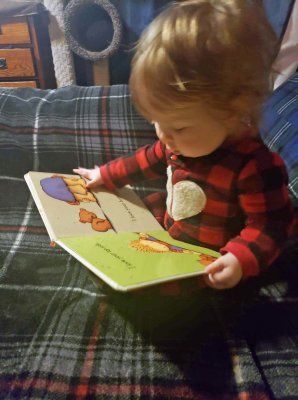 Beginning Bookworm 