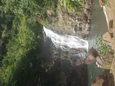 hawaii_2021