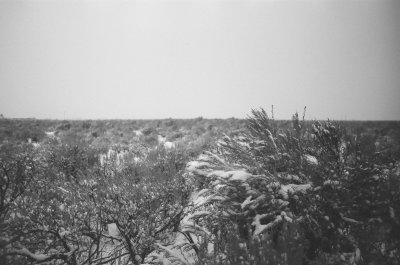 000501640027.jpg