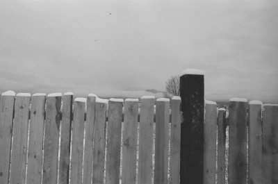 000370720031.jpg