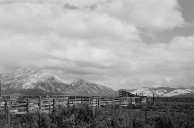 Life on the mesa II