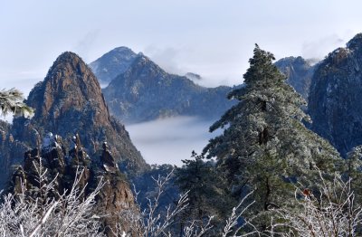 DSC_0975.jpg